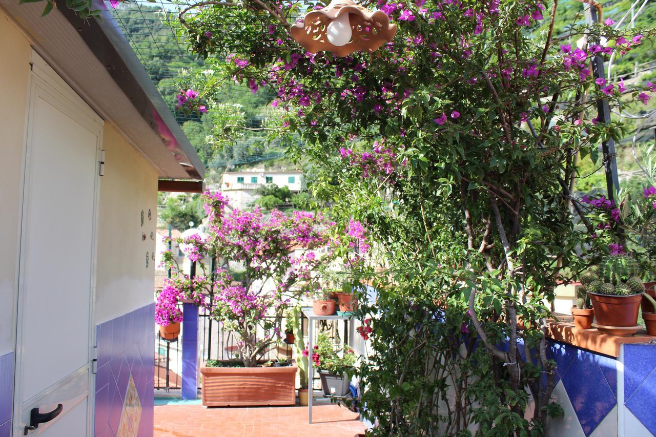 Reginella Bed & Breakfast Четара Екстериор снимка